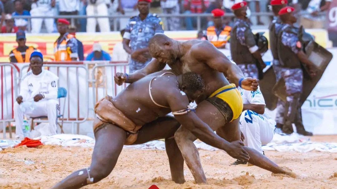 Senegalese wrestling: Sa Thiès aims for a prestigious event to crown the true King of the Arenas.