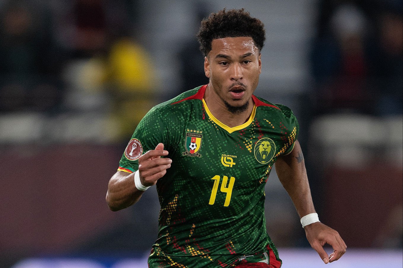 Cameroon: Danny Namaso reiterates his commitment to the Indomitable Lions.